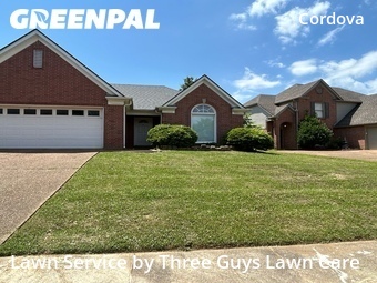 Lawn mowed in Cordova, 38016