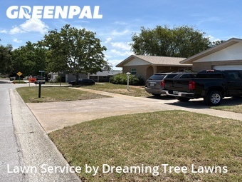Grass Cut nearby Clearwater, FL, 
