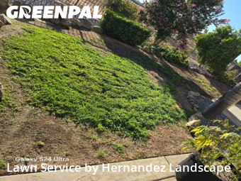 Lawn Mowing nearby Murrieta, CA, 