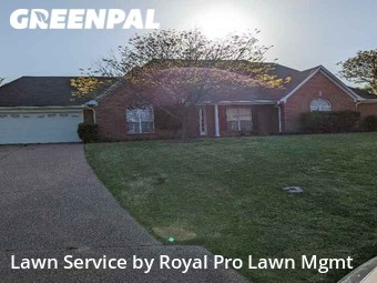 Lawn Cut nearby Olive Branch, MS, 