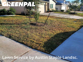 Backyard Mowing in Pflugerville, 78660, Front Yard Mowing by Austin Staple Landsc., work completed in Nov , 2025