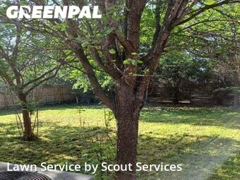 Lawn Care Service nearby Converse, TX, 