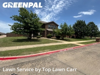 Grass Cutting nearby Lancaster, TX, 