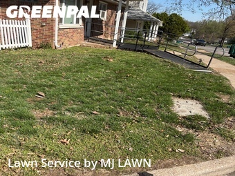 Lawn Mowing Service nearby Webster Groves, MO, 
