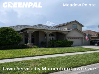 Lawn Cutting nearby Wesley Chapel, FL, 