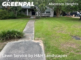 Grass Cut nearby Savannah, GA, 