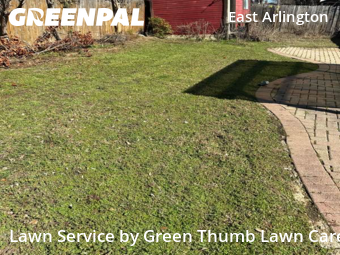 Lawn mowed in Arlington, 76014