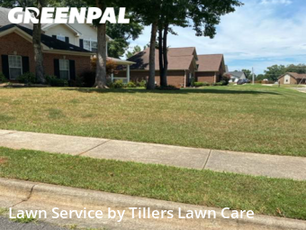 Grass Cutting nearby Harvest, AL, 