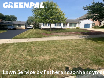 Grass Cuttingin Arlington Heights,60004,Lawn Mow by Fatherandsonhandyman, work completed in Feb , 2026