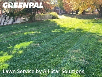 Yard Cutting nearby Belleville, IL, 