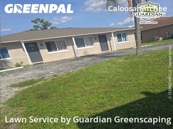 Landscaping Services In Cape Coral,33904,Landscaping Services by Guardian Greenscaping, work completed in Jun , 2026