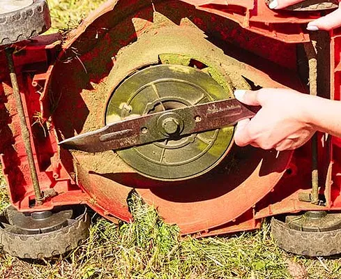 Best Lawnmower Shop Photo 20