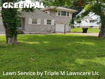 Grass Cutting nearby Independence, MO, 