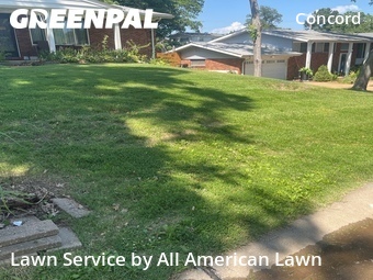 Lawn Cutting nearby St. Louis, MO, 