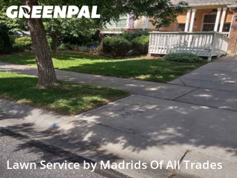 Lawn Mow nearby Timnath, CO, 