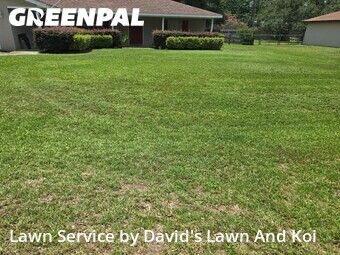Lawn Cut nearby Ocala, FL, 