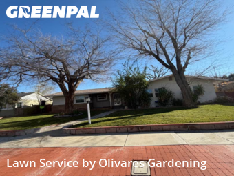 Backyard Landscaping In Lancaster,93534,Landscaping Renovation by Olivares Gardening , work completed in Jan , 2026