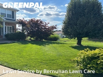 Lawn Cutting nearby O'fallon, MO, 
