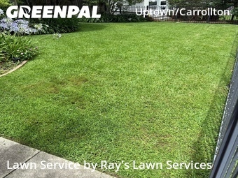 Lawn Cutting nearby New Orleans, LA, 