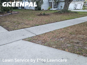 Lawn Maintenance nearby Tampa, FL, 