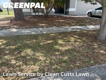 Lawn Mow nearby Riverview, FL, 