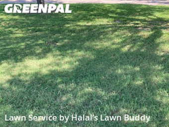 Lawn Mowing nearby Cedar Hill, TX, 