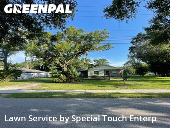 Grass Cut nearby Tampa, FL, 