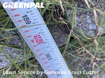 Grass Cutting nearby Clarksville, TN, 