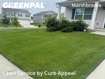 Lawn Mowing Servicein Matthews,28105,Yard Mowing by Curb Appeal, work completed in Jun , 2026