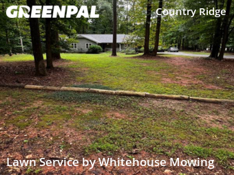 Grass Cut nearby Raleigh, NC, 