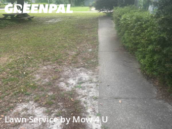 Lawn Care nearby Tallahassee, FL, 