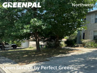 Lawn Cut nearby San Antonio, TX, 