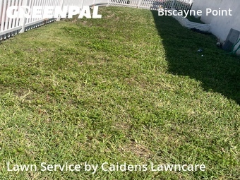Grass Cut nearby Miami Beach, FL, 