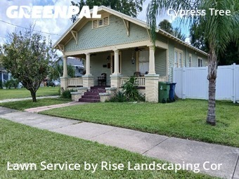 Lawn Cut nearby Tampa, FL, 