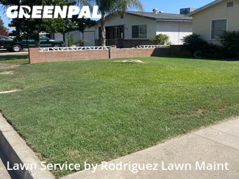 Yard Cutting nearby Tulare, CA, 