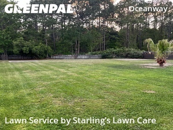 Yard Cutting nearby Jacksonville, FL, 