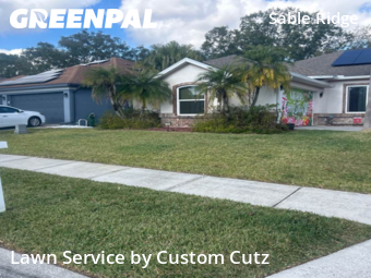 Grass Cutting nearby Land O' Lakes, FL, 