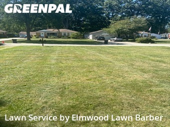 Grass Cut nearby Avon, OH, 