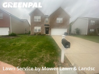 Yard Cutting nearby Spring Hill, TN, 