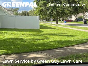 Lawn Cut nearby Dover, FL, 