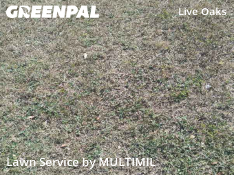 Residential Landscaping In Tampa,33610,Landscaping Renovation by MULTIMIL , work completed in Nov , 2025