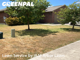 Grass Cutting nearby Hutto, TX, 