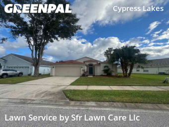Lawn Cutin Oldsmar,34677,Yard Cutting by Sfr Lawn Care Llc, work completed in Dec , 2025
