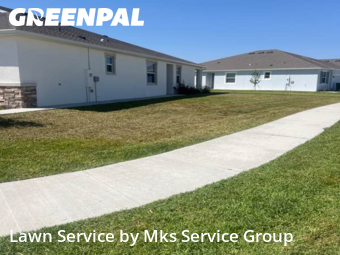 Lawn Cut nearby Wesley Chapel, FL, 