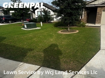 Lawn Cut nearby New Braunfels, TX, 