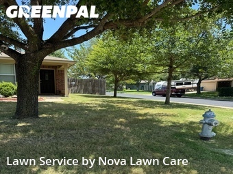 Lawn Maintenance nearby Hutto, TX, 