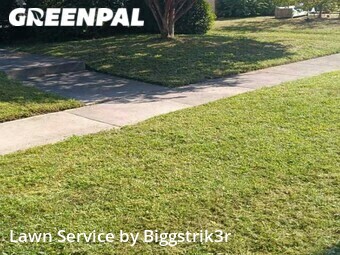 Lawn Cut nearby Hampton, VA, 