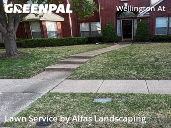 Grass Cutting nearby Plano, TX, 