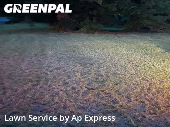 Grass Cut nearby Shreveport, LA, 