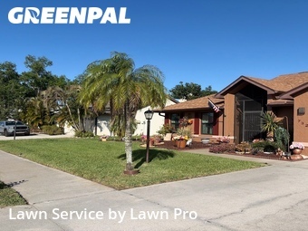 Lawn Cut nearby Venice, FL, 